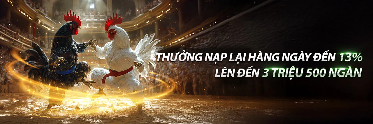 Trực Tiếp Đá Gà C6